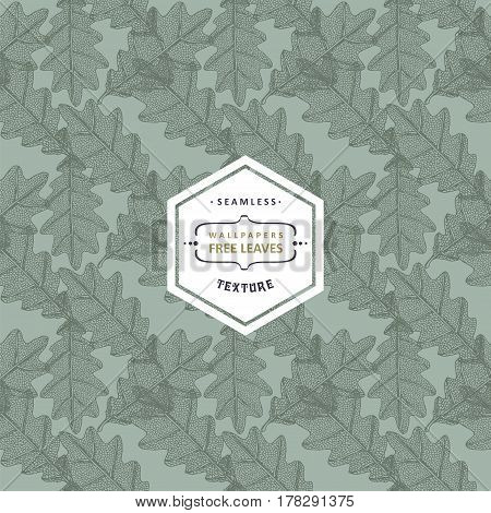 Floral seamless pattern with tree leaves. Maple Elm Oak Aspen textured leaves