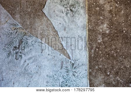 Old dirty and torn wallpaper with floral pattern.