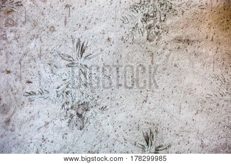 Old dingy and dirty wallpaper with floral pattern.