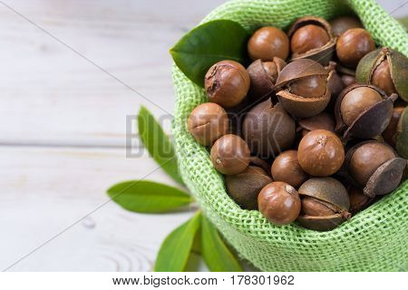 Macadamia nuts harvest close up with leaves