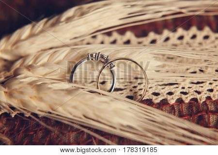 Beautiful composition of engagement rings and wheat ears