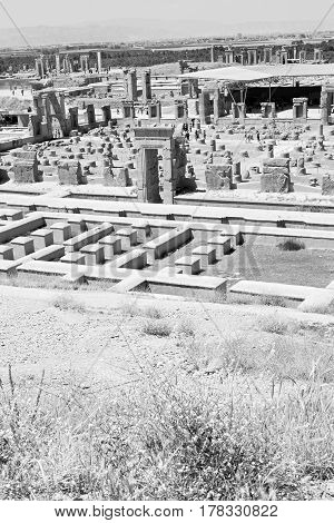 In Iran Persepolis