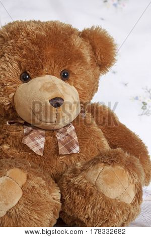 Smiles teddy bear plush friend cute toy