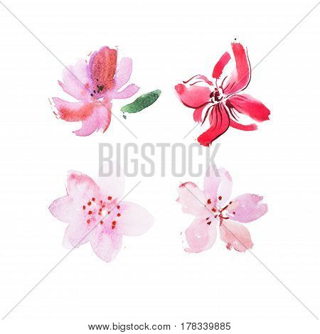 Watercolor drawing of fresh garden flowers aquarelle painting