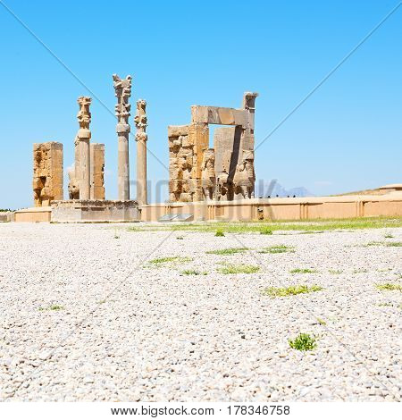 In Iran   Persepolis