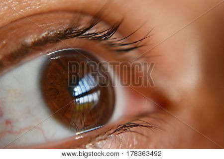 Reflection of a scene through an eye