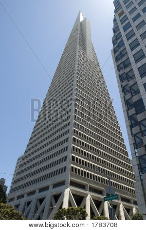 Grattacieli In Downtown San Francisco