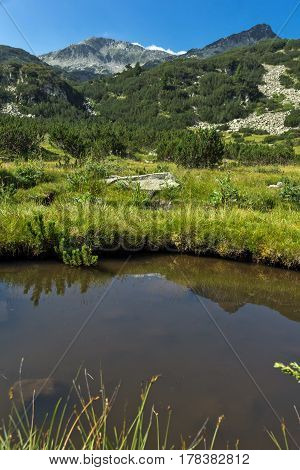 Panoramic view of Banderishki Chukar Peak and mountain river, Pirin Mountain, Bulgaria