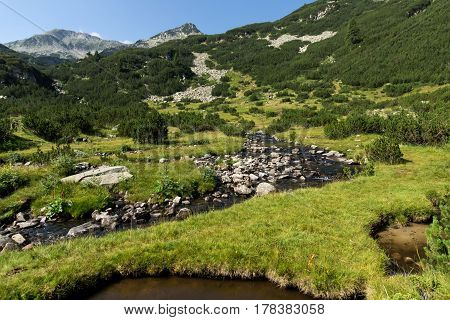 Panoramic view of Banderishki Chukar Peak and mountain river, Pirin Mountain, Bulgaria