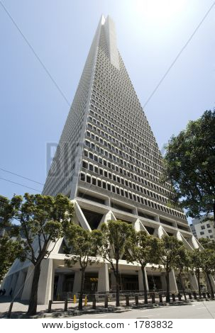 Grattacieli In Downtown San Francisco