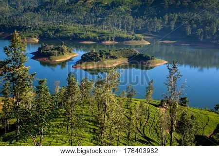 Castlereigh reservoir and surrounded tea plantations in sri lanka