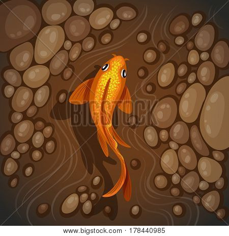 carp koi fish underwater pond vector illustration