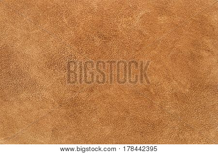 Decorative Plaster