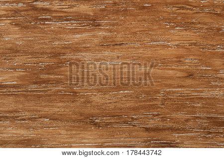 Decorative Plaster