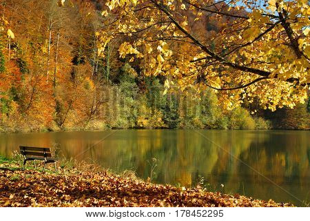 Autumn landscape with a bench on a sunny day. Lac de Lucelle (Lucelle Lake) Switzerland