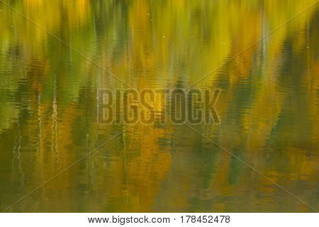 Golden water reflection of autumn forest, closeup
