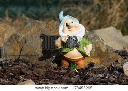 small colorful garden gnome in the garden rockery