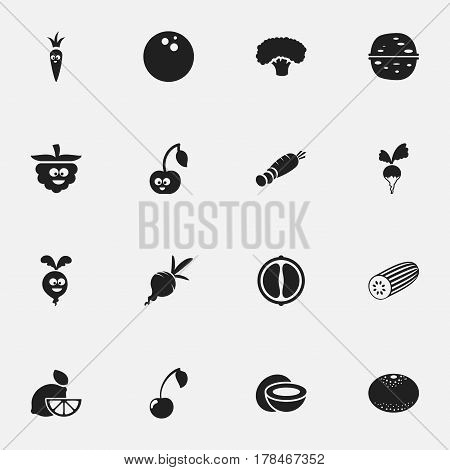 Set Of 16 Editable Kitchenware Icons. Includes Symbols Such As Morello, Pecan, Coconut And More. Can Be Used For Web, Mobile, UI And Infographic Design.