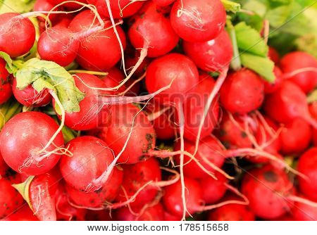 Heap Of Radishes