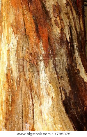 Texture di legno vecchio