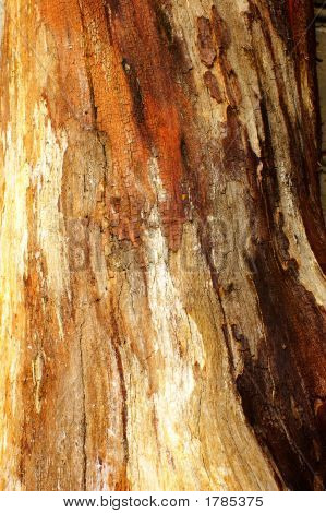 Old Wood Texture