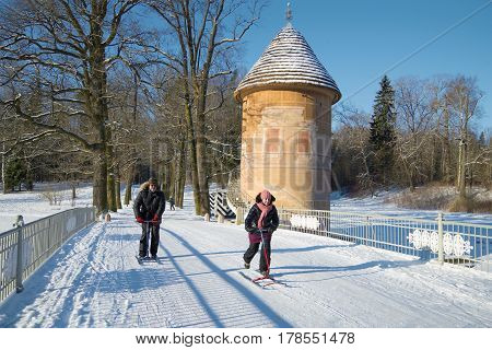 SAINT PETERSBURG, RUSSIA - FEBRUARY 06, 2017: People are driving on the finnish sledge in Pavlovsk park a sunny February day