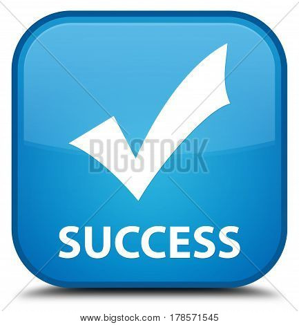 Success (validate Icon) Special Cyan Blue Square Button