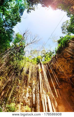 Sunbeams penetrating at Ik-Kil cenote near Chichen Itza in Mexico, bottom view