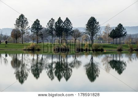 trees reflecting in the lake