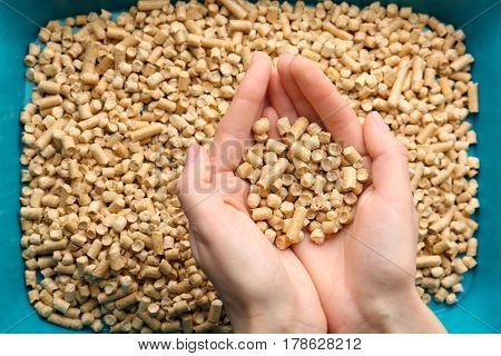 Female hands holding cat litter