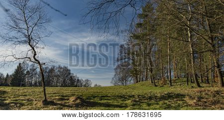 Rynartice Area In Spring Sunny Day In National Park