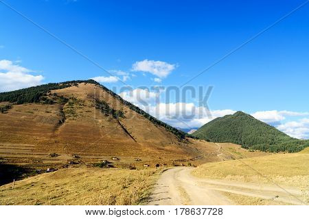 View In Mountains And Road In Tusheti Region. Georgia