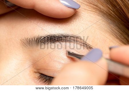 Grooming the eyebrows in a beauty salon .
