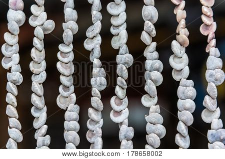 Seashells hanging on a thread and forming a beautiful multicolored background texture