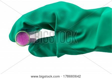Capillary tube on hand of scientist with blue glove on white .Saved with clipping path selective focus.