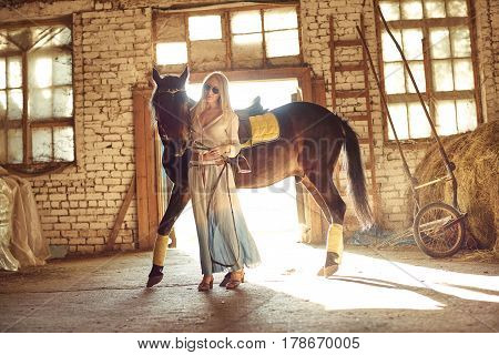 Young girl taking on a walk her dark bay stallion by the reins on stunning golden sunset. Beautiful mighty gelding horse walking and gazing on meadow field at sunny morning