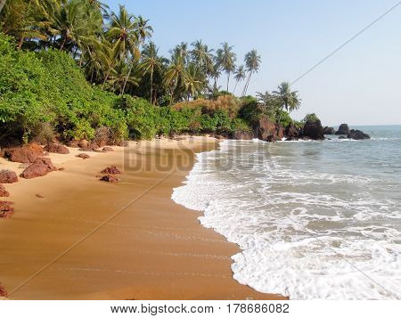 Coconut Palms On The Beach Near The Village Of Thottada