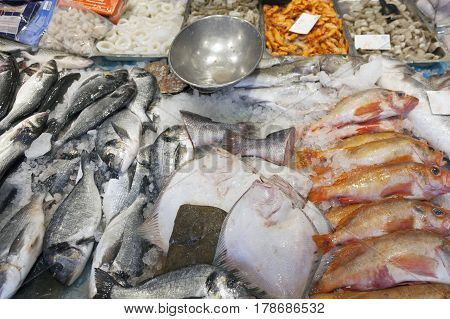 many different kinds of sea fish on display on marketstall in the netherlands