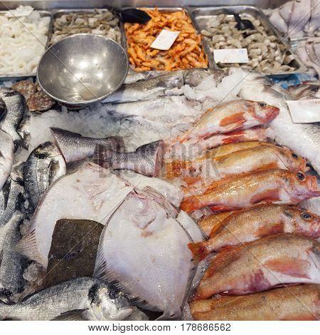 many different kinds of fresh sea fish on display on marketstall in the netherlands