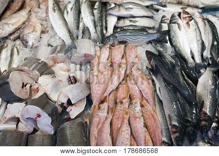 many different kinds of fresh sea fish on display on marketstall in the netherlands