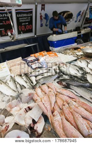 utrecht netherlands 15 march 2017: fresh fish and salesman on the market of utrecht in the netherlands