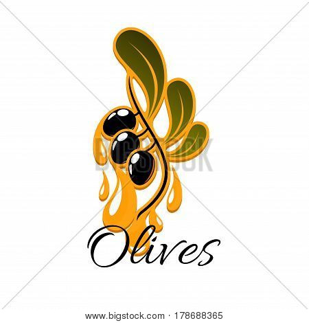 Olive fruit branch with oil drop symbol. Olive oil drops from olive tree branch with ripe black fruits and green leaves. Oil bottle label, vegetarian menu or mediterranean cuisine recipe design