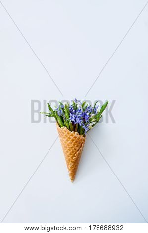 Close Up Bouquet Of White And Blue Primrose In The Waffle Cone On The White Background. Top View. Fr