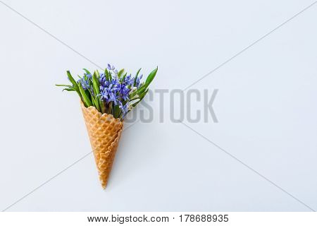 Close Up Bouquet Of White And Blue Primrose In The Waffle Cone On The White Background. Top View. Fr