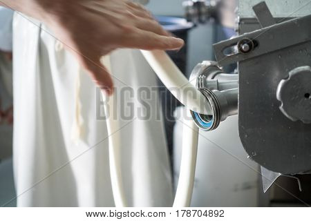 Production Of Italian Mozzarella.