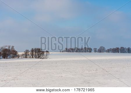 Winter rural landscape with meadows and forest in Russia