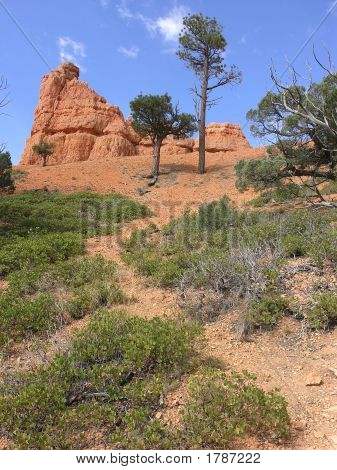 Red Canyon