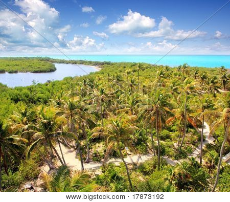 Luftfoto Contoy tropiske caribiske ø Mexico palmer og havet