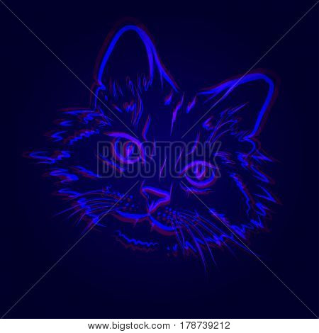 Vector illustration of doubly blue contour cat on the mazarine background.