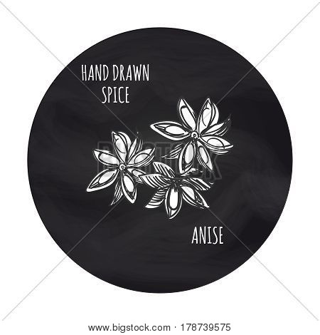 Hand drawn spice anise in blackboard round. Vector anise sketch icon design
